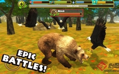 ģ����ӥ�ֻ���  v1.0 ��׿��