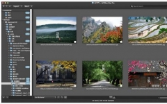 ACDSee Pro for mac  v3.6 build 182 ٷ°