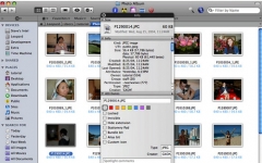 Pathfinder Mac  V7.2 ٷ