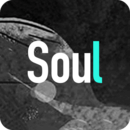Soul  V3.1.3 安卓版