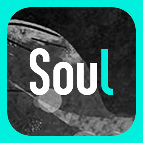 Soul  vipƽ