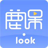 ¹Look  ߲ѯ