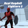 Real Ragdoll Fighters 2  °