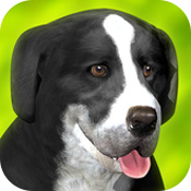 С���ܿ�  V1.1.8 ��׿��