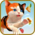 ɳèģ  v1.0.1 ׿