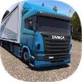 ŷ�޻������μ�ʻ3D  V0.1