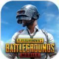 pubgزԷ  v2.4.0