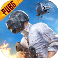 pubgذװʷ  v2.4.0