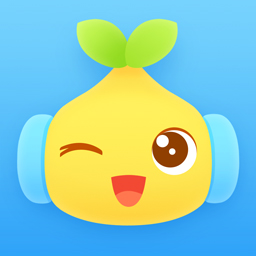 app  11.3.1