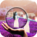 app  8.9.3