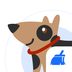 Сapp  4.01.01