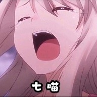    v3.1
