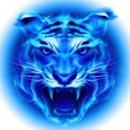 ĻӰ߹ۿֻصַ  v1.3.4