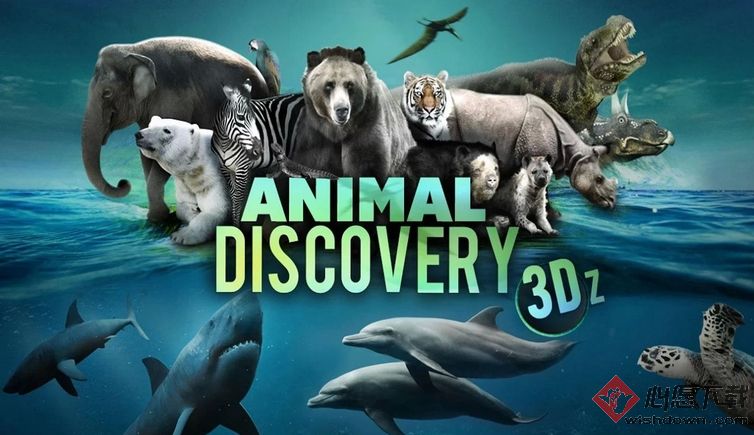 Discover animal