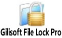 Gilisoft File Lock Pro v11.0 ע