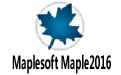 Maplesoft Maple2016 64λװƽ̳̣