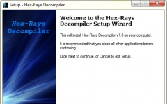Hex-Rays(빤) v1.0Ѱ