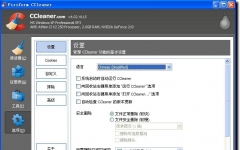 CCleaner中文版 v5.3.5 绿色专业版