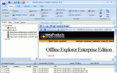 Offline Explorer Pro() v7.4.4594 ٷ