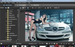 DxO Optics Pro_Ƭڴ v9.1.2 ɫر