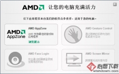 AMD Compatibility Checker_AMDԼ v1.0 ɫ