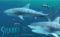 Sharks 3D Mac V1.2.0ٷ