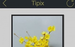 Tipix(ͼƬ) v1.8.3