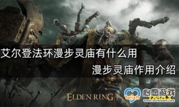 ��̬����˽����׿����