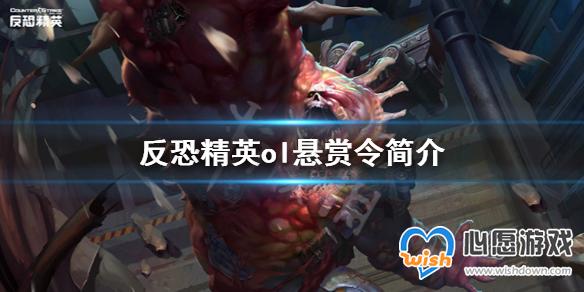 反恐精英ol悬赏令是什么 反恐精英ol悬赏令简介_wishdown.com 心愿游戏1