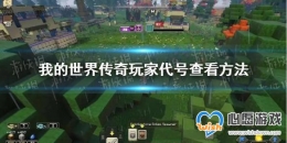 ҵ紫桷Ҵģ ҴŲ鿴