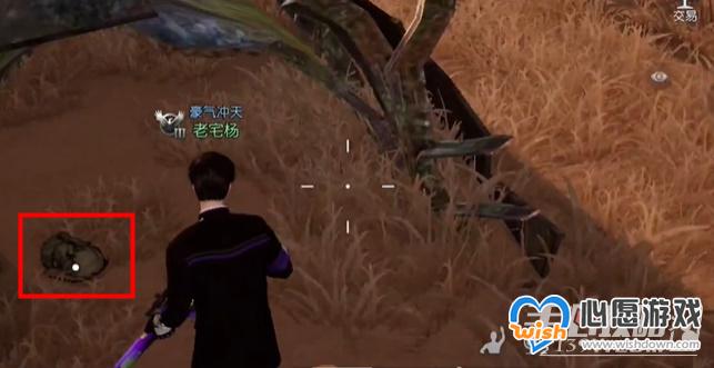 《黎明觉醒生机》沙漠修罗场藏宝图位置_wishdown.com 《黎明觉醒:生机》沙漠修罗场藏宝图位置一览