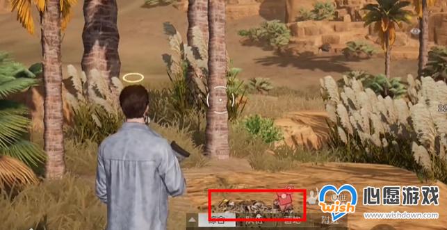 《黎明觉醒:生机》尽头与起始藏宝图位置一览_wishdown.com 《黎明觉醒:生机》尽头与起始藏宝图位置一览