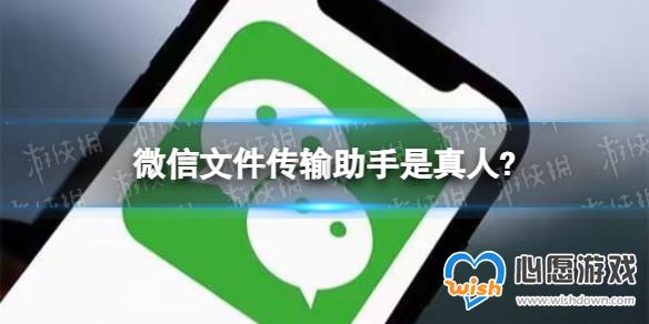 ΢���ļ��������������˹ٷ���Ӧ���޴��������