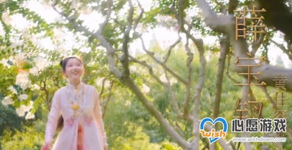 电影版红楼梦概念海报发布_wishdown.com 电影版红楼梦概念海报发布_wishdown.com