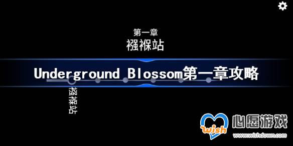 Underground Blossomһ¹
