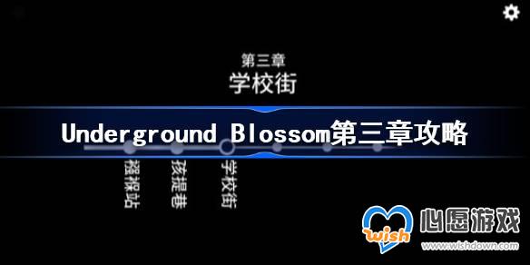 Underground Blossom¹