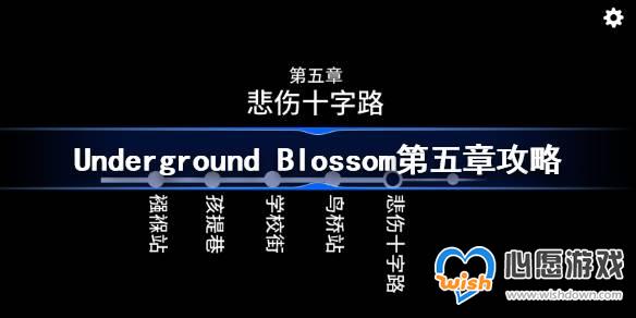 Underground Blossom¹
