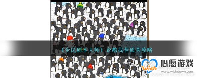 ȫ籾ʦҲͨع
