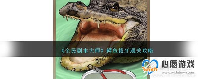 ȫ籾ʦͨط