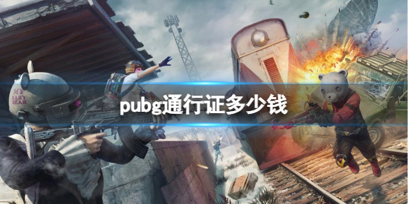 pubg֤ͨ۸