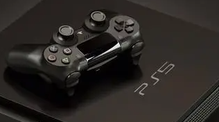 ����ps5�������CE1000023�������