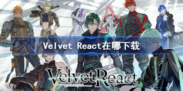 Velvet React��������