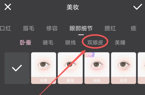 Wink˫ƤЧ̳