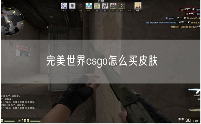 csgoƤ