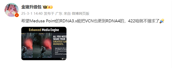 AMD´Zen6 APUòRDNA 4ˣRDNA 3.X