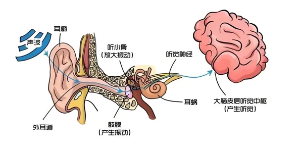 3࣡úõ ôͻȻ