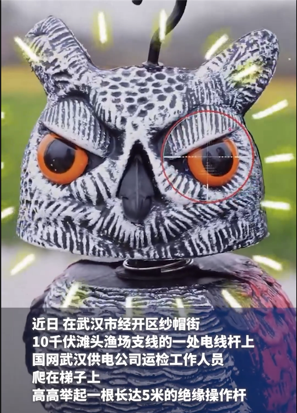̫һ繫˾͡èͷӥػ