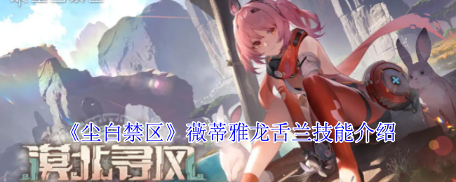 ׽ޱʲô