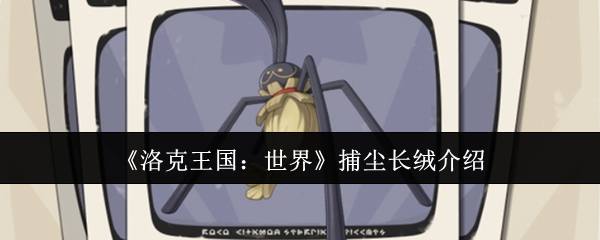 粶ô