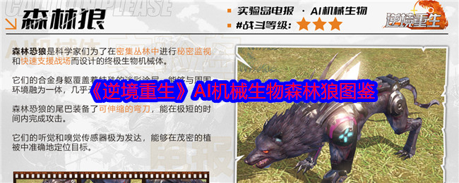 澳ɭô